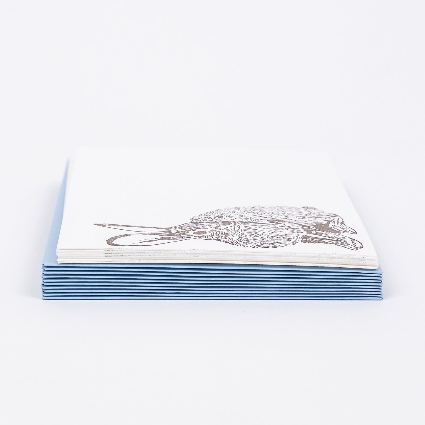 Set of 10 Letterpress Note Cards featuring a hand-drawn Cottontail Rabbit letterpress printed in a warm brown ink onto 100% cotton paper. Includes 10 baby blue envelopes. Size A6. The cards are stacked on the envelopes shown on a white background. Image is a side-view.
