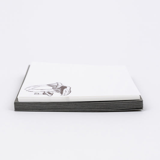 Note Card Pack: Mushroom