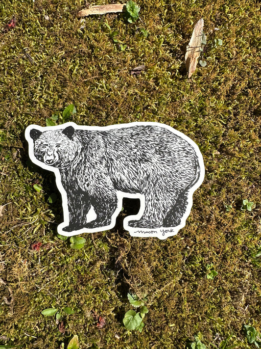 Vinyl sticker featuring a hand-drawn adult Appalachian Black Bear. The bear is looking directly at you with a happy expression. 3.5" x 3" The sticker is shown on a bed of moss.