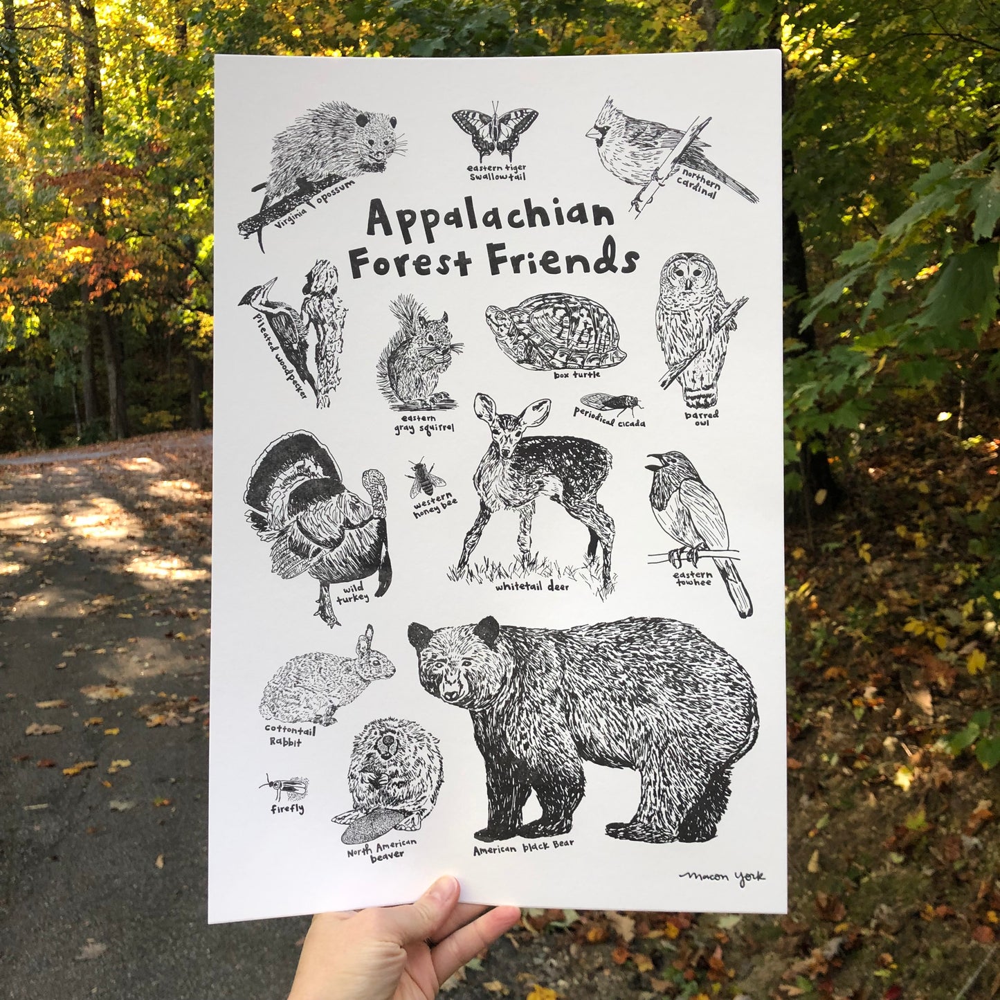 A large (12" x 18") Letterpress Art Print featuring hand-drawn animals in the Appalachain Mountain region. This letterpress-printed piece features an array of adorable woodland hand-drawn critters sure to bring a bit of woodland whimsy to your decor. Each critter is labeled with hand-drawn text, so it's educational, too! The print is shown outside in front of an autumn forest.