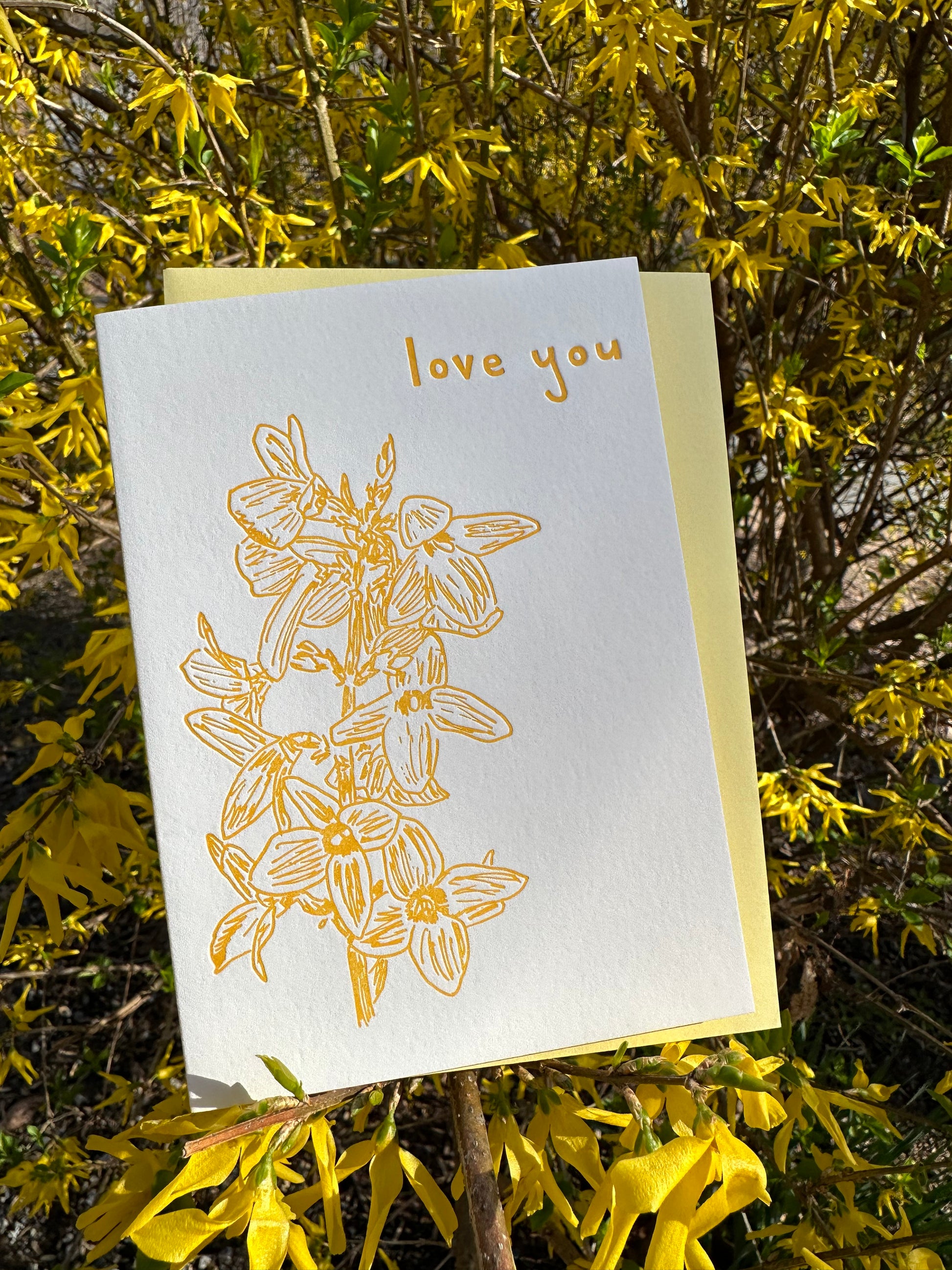 Letterpress greeting card featuring hand-drawn forsythia branches, printed in a vibrant golden ink. Whimsical hand-drawn text saying "Love You" is shown on the top right corner of the card, in the same vibrant golden ink. The card is white, blank inside, and is paired with a light yellow envelope. Card is shown in a forsythia bush in full bloom with yellow flowers.