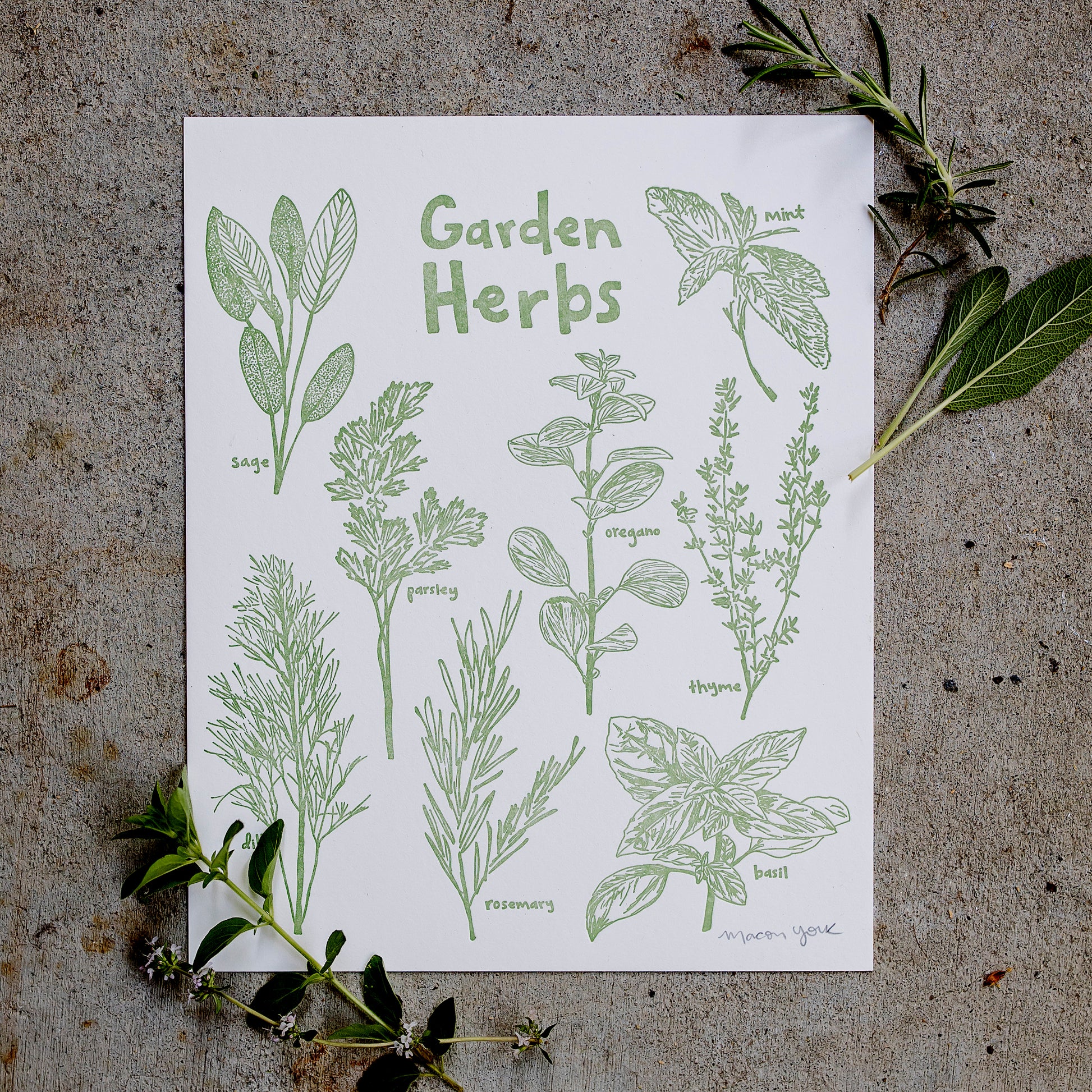8x10 Letterpress art print featuring original whimsical illustrations of sage, mint, oregano, parsley, thyme, dill, basil, and rosemary. Each plant is labeled in hand-drawn typography. The herbs are letterpress printed on 100% cotton paper in a vibrant sage-green ink.  Print is shown on a concrete floor with sprigs of sage and rosemary on the top right corner, and oregano and thyme on the bottom left.
