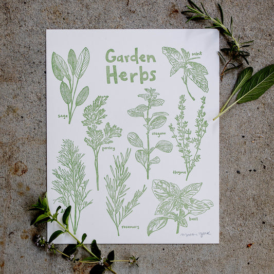 8x10 Letterpress art print featuring original whimsical illustrations of sage, mint, oregano, parsley, thyme, dill, basil, and rosemary. Each plant is labeled in hand-drawn typography. The herbs are letterpress printed on 100% cotton paper in a vibrant sage-green ink.  Print is shown on a concrete floor with sprigs of sage and rosemary on the top right corner, and oregano and thyme on the bottom left.