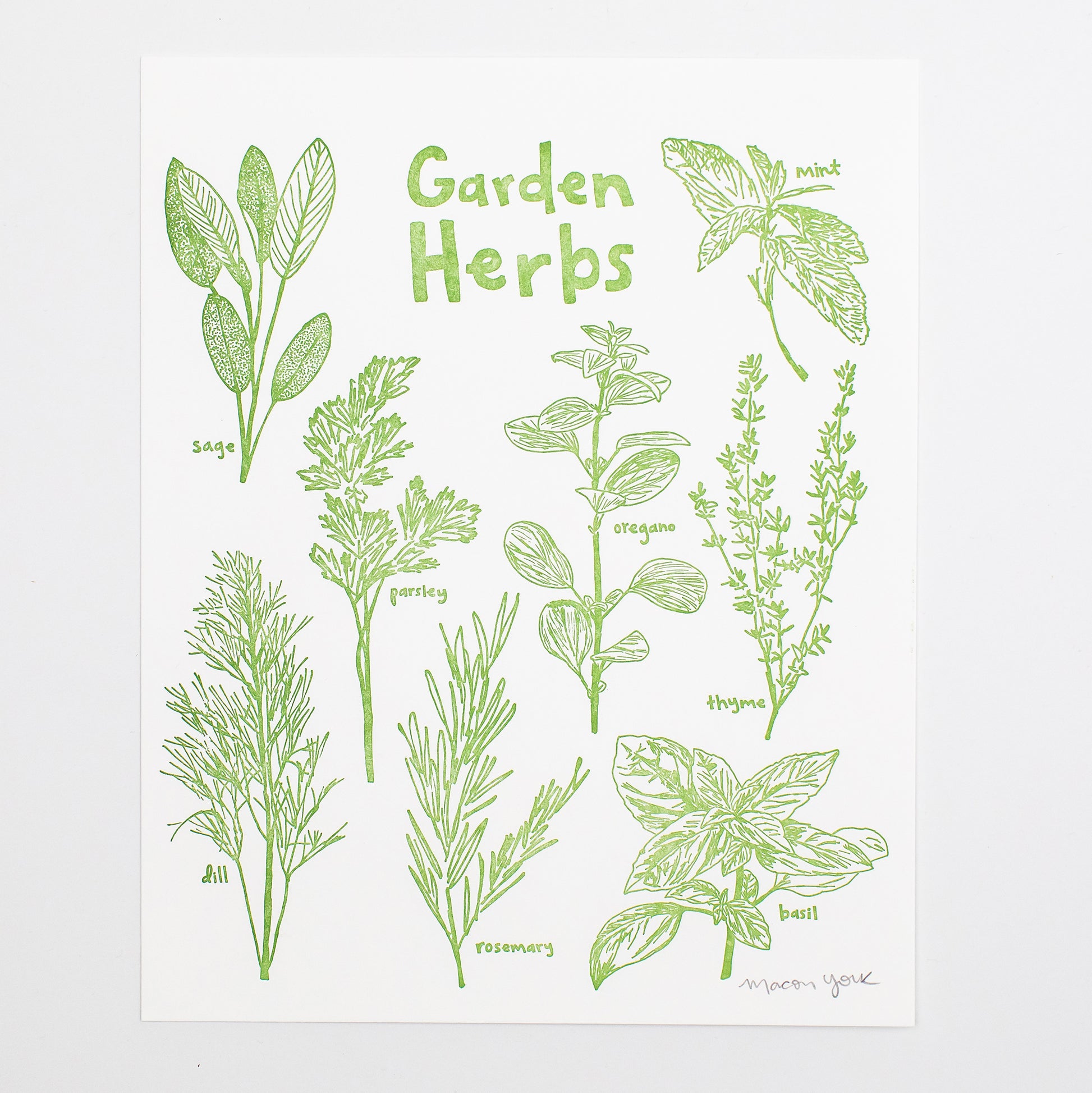 8x10 Letterpress art print featuring original whimsical illustrations of sage, mint, oregano, parsley, thyme, dill, basil, and rosemary. Each plant is labeled in hand-drawn typography. The herbs are letterpress printed on 100% cotton paper in a vibrant sage-green ink.