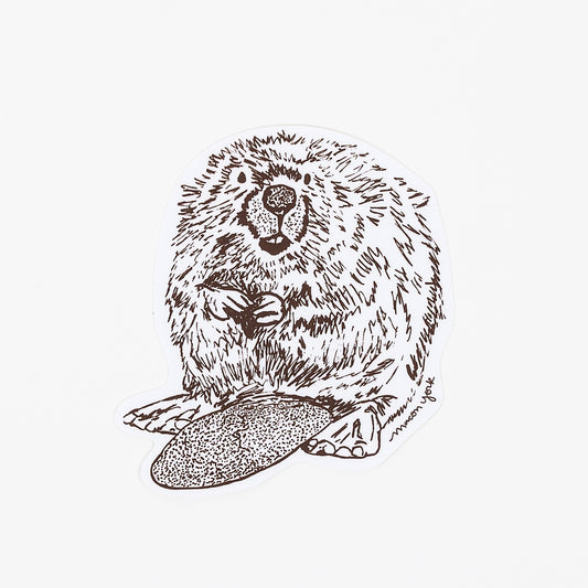 This Beaver is a premium vinyl sticker that captures the beauty of the summertime Appalachian mountains. It features a hand-drawn image of the an Appalachian Beaver in a rich brown ink. 3.5" x 3.5" Vinyl Sticker.
