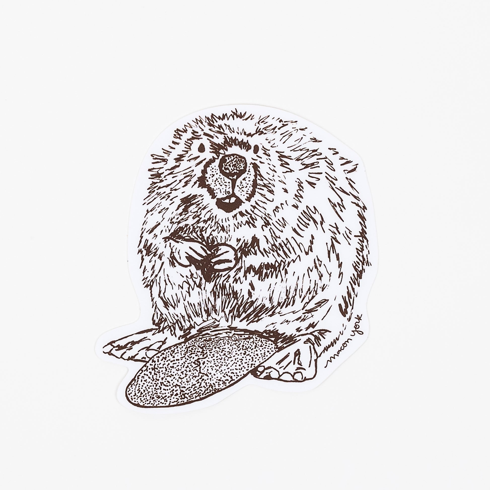 This Beaver is a premium vinyl sticker that captures the beauty of the summertime Appalachian mountains. It features a hand-drawn image of the an Appalachian Beaver in a rich brown ink. 3.5" x 3.5" Vinyl Sticker.