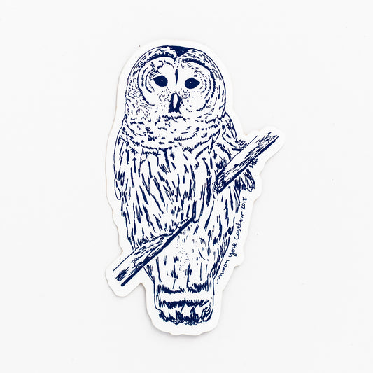 Hand-drawn barred owl in Macon York's whimsical illustration style. 2.25" x 3" Vinyl Sticker