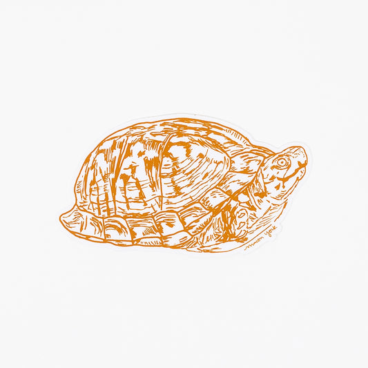 This Box Turtle sticker is a premium vinyl sticker that captures the beauty of the summertime Appalachian mountains. It features a hand-drawn image of the iconic box turtle, perfect for those who appreciate the natural wonders of the region. Printed in a deep burnt orange ink. 4" x 2" Vinyl Sticker