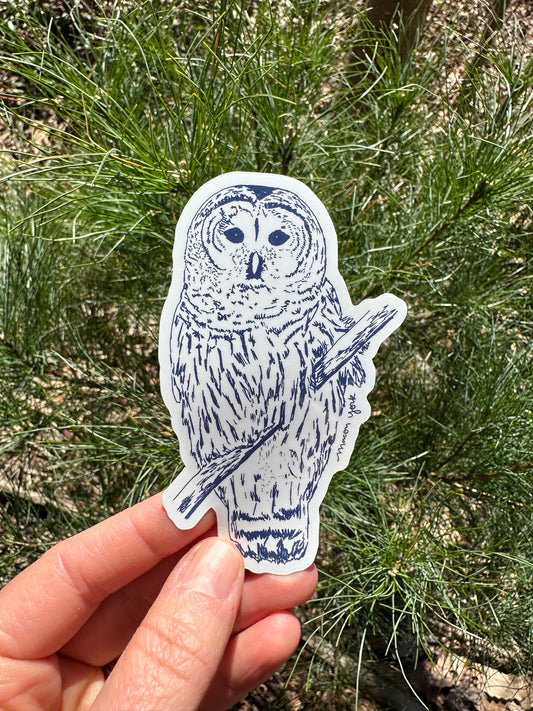 Hand-drawn barred owl in Macon York's whimsical illustration style. 2.25" x 3" Vinyl Sticker. Sticker is shown in front of a small pine tree.