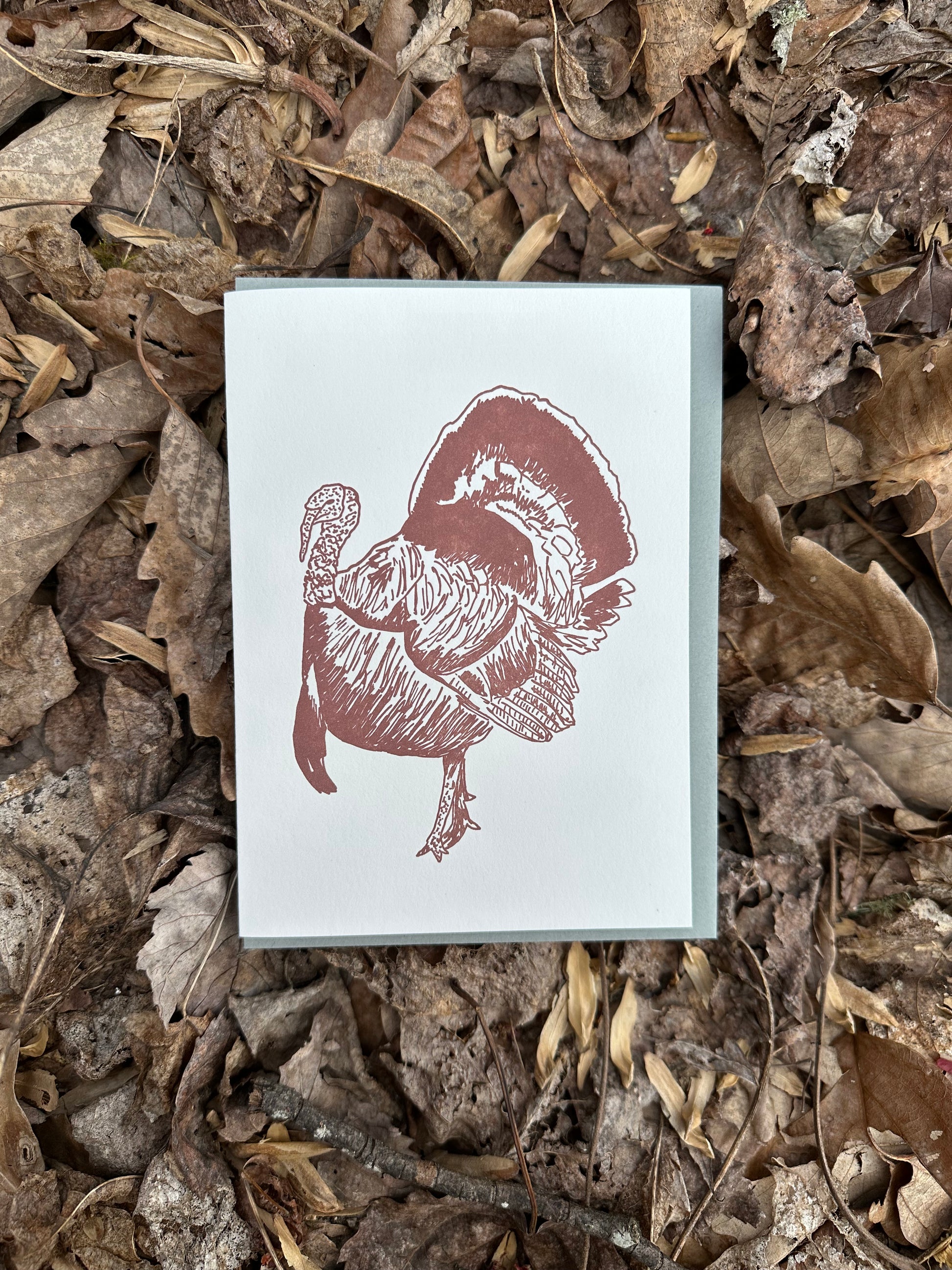 Letterpress greeting card featuring hand-drawn Appalachian Wild Tom Turkey, printed in an earthy brown ink. There is no text on the card. The white card is 100% cotton, blank inside, and is paired with a slate gray envelope. The card is shown outside on a bed of fall leaves.