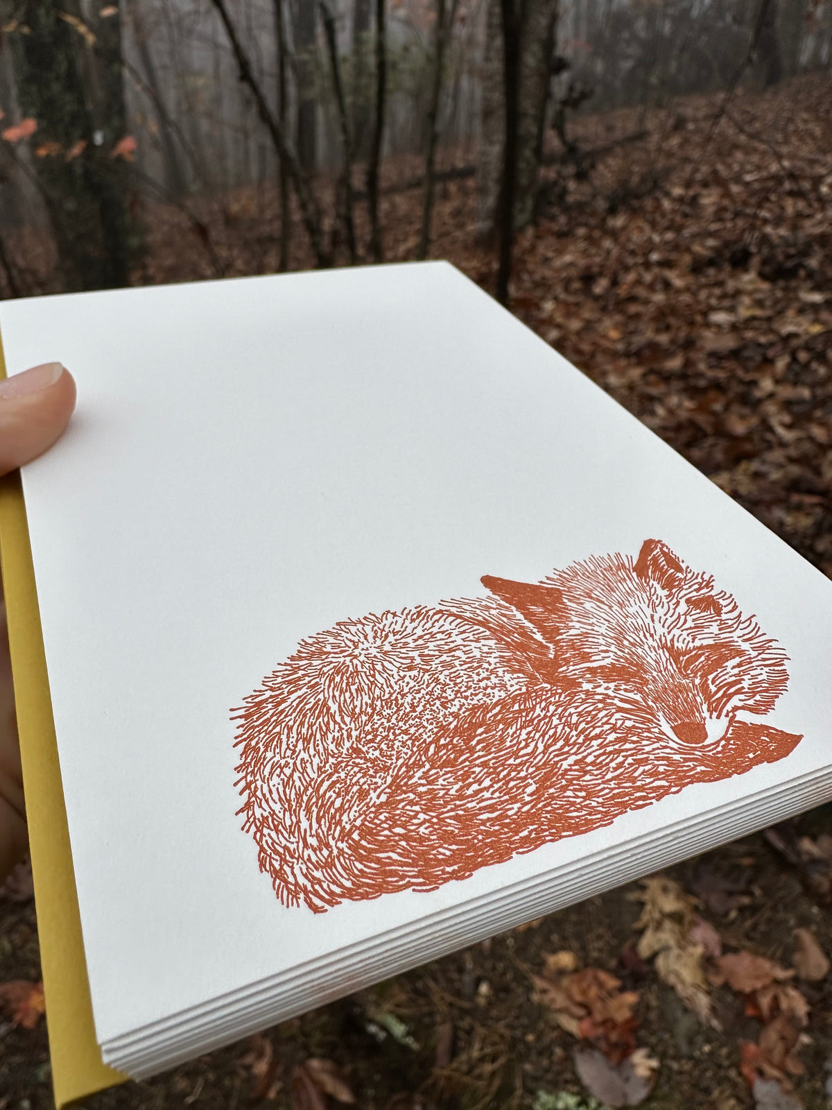 Notelets With Fox Pattern Note Card Pack: Sleeping Fox – Macon York Press
