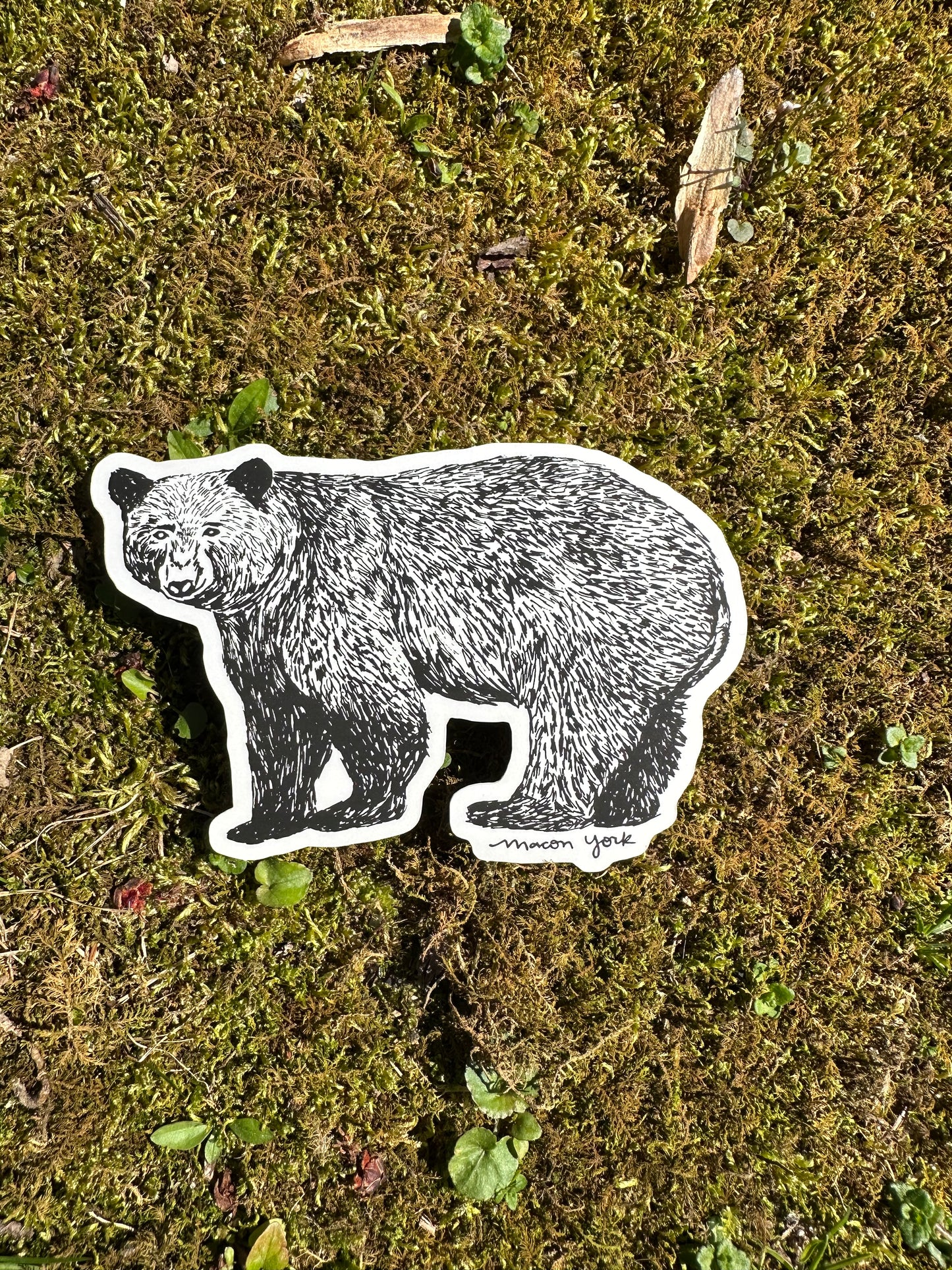 Vinyl sticker featuring a hand-drawn adult Appalachian Black Bear. The bear is looking directly at you with a happy expression.  3.5" x 3" The sticker is shown on a bed of moss. 