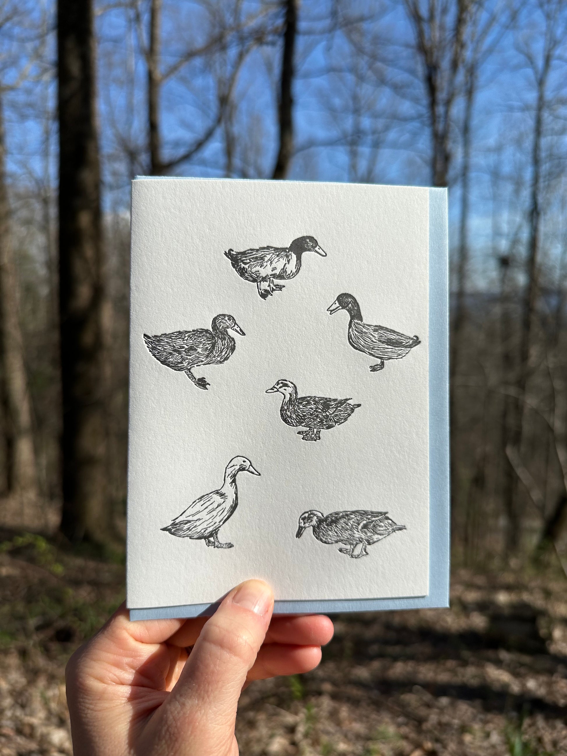 Letterpress greeting card featuring six hand-drawn backyard ducks, printed in a rich black ink. There is no text on the card. The white card is 100% cotton, blank inside, and is paired with a light blue envelope. This card is shown outside on a sunny winter day. 
