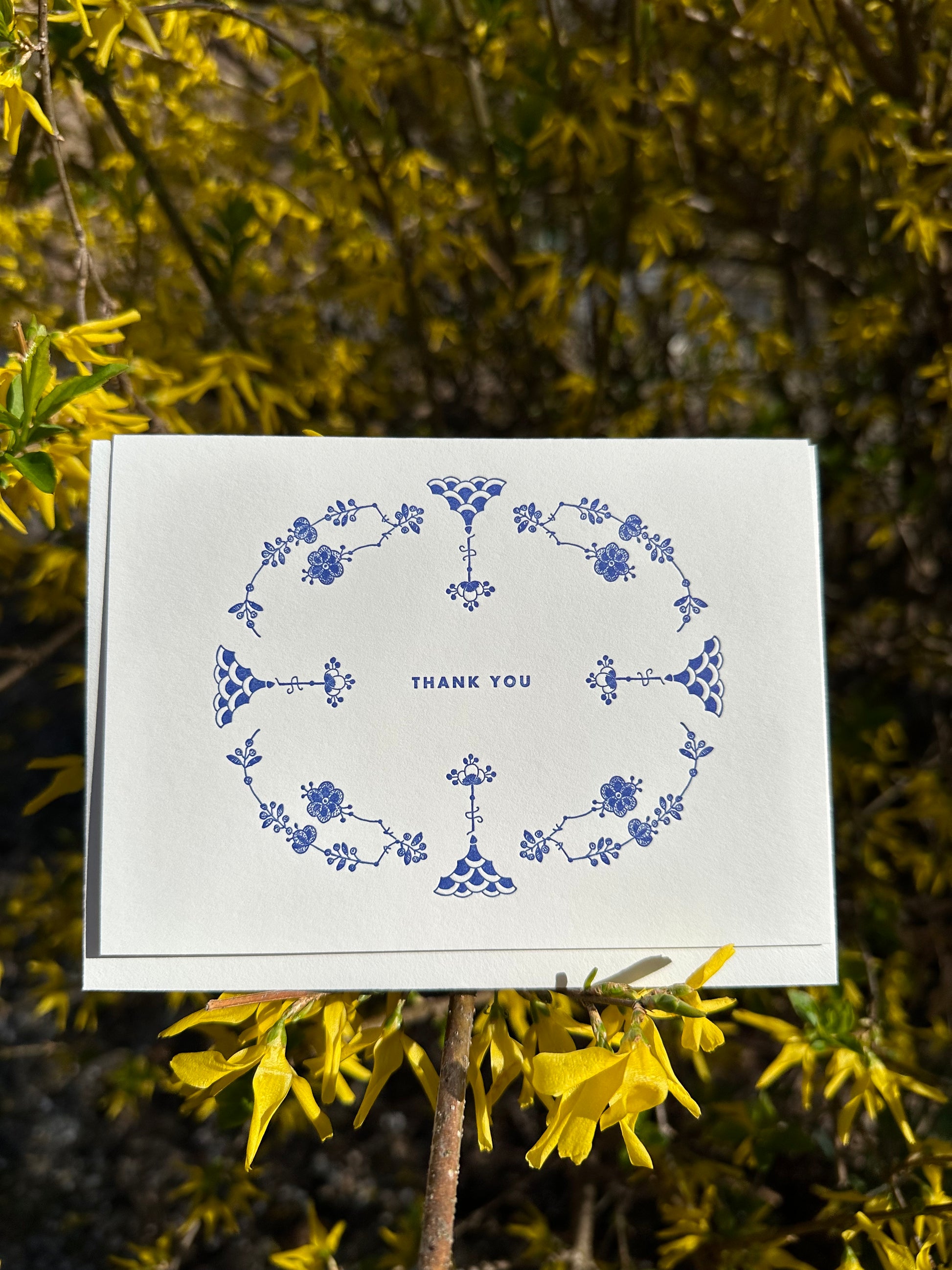 Letterpress greeting card featuring hand-drawn Furnivals Denmark Blue china pattern design, printed in a vibrant royal blue ink. Text saying "thank you" is shown centered on the card, in the same blue ink. The card is white, blank inside, and is paired with a white cotton envelope. Design is similar to Royal Copenhagen.  The card is shown on a blooming forsythia bush, outside on a sunny spring day.