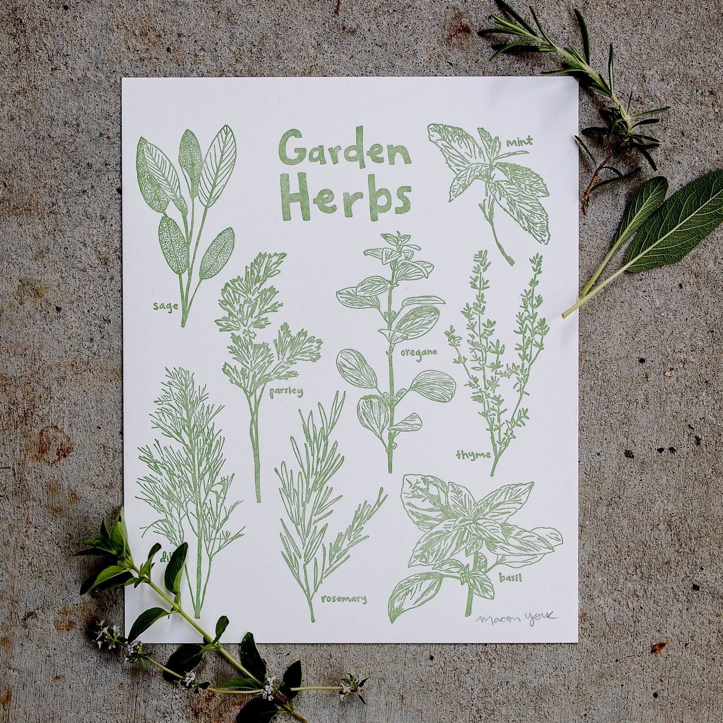 8x10 Letterpress art print featuring original whimsical illustrations of sage, mint, oregano, parsley, thyme, dill, basil, and rosemary. Each plant is labeled in hand-drawn typography. The herbs are letterpress printed on 100% cotton paper in a vibrant sage-green ink.  Print is shown on a concrete floor with sprigs of sage and rosemary on the top right corner, and oregano and thyme on the bottom left. 