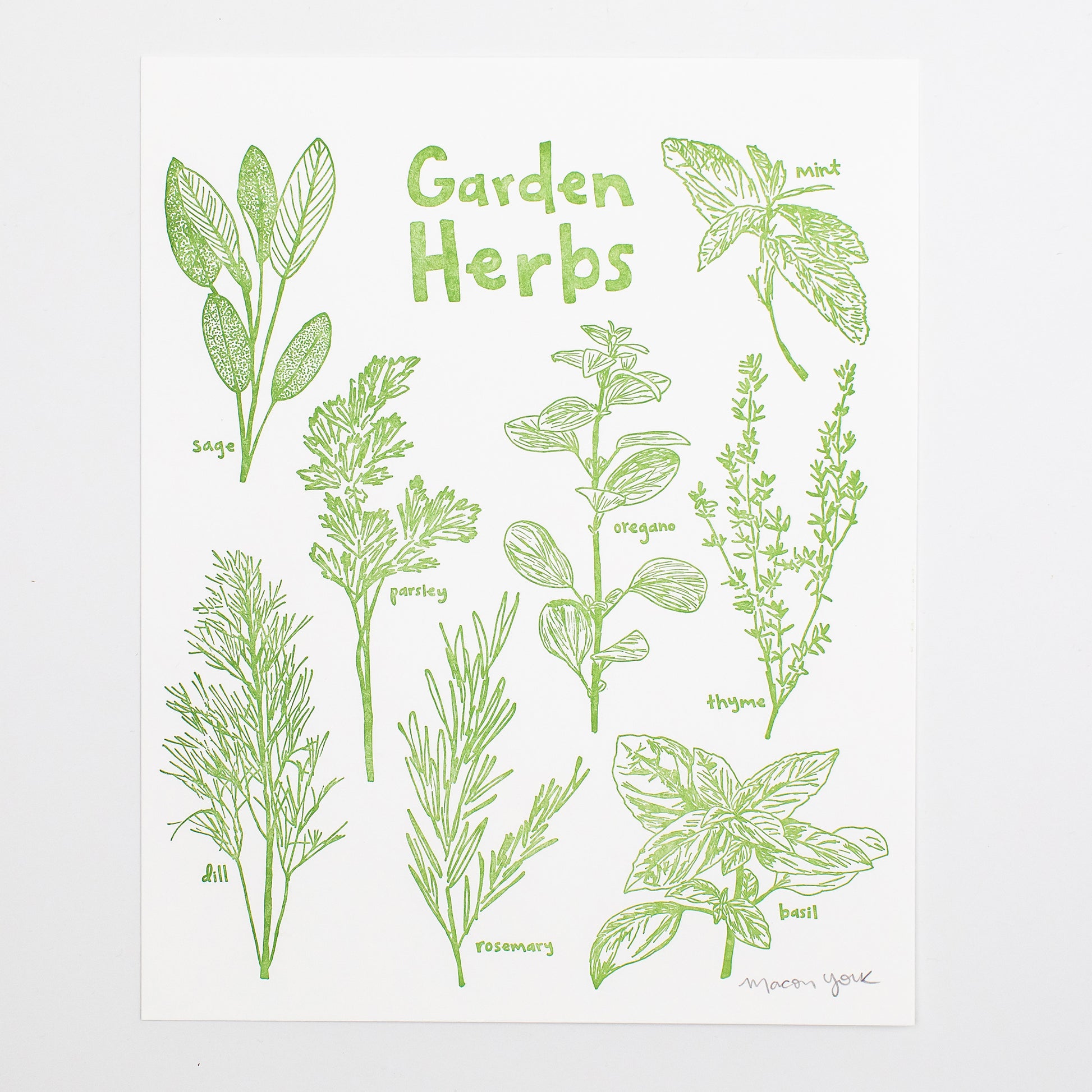 8x10 Letterpress art print featuring original whimsical illustrations of sage, mint, oregano, parsley, thyme, dill, basil, and rosemary. Each plant is labeled in hand-drawn typography. The herbs are letterpress printed on 100% cotton paper in a vibrant sage-green ink. 