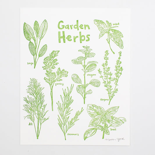 8x10 Letterpress art print featuring original whimsical illustrations of sage, mint, oregano, parsley, thyme, dill, basil, and rosemary. Each plant is labeled in hand-drawn typography. The herbs are letterpress printed on 100% cotton paper in a vibrant sage-green ink. 