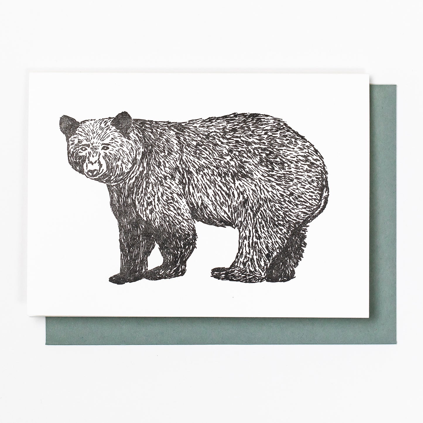 Letterpress greeting card featuring hand-drawn Appalachian Black Bear, printed in a rich black ink. There is no text on the card. The white card is 100% cotton, blank inside, and is paired with a slate gray envelope.