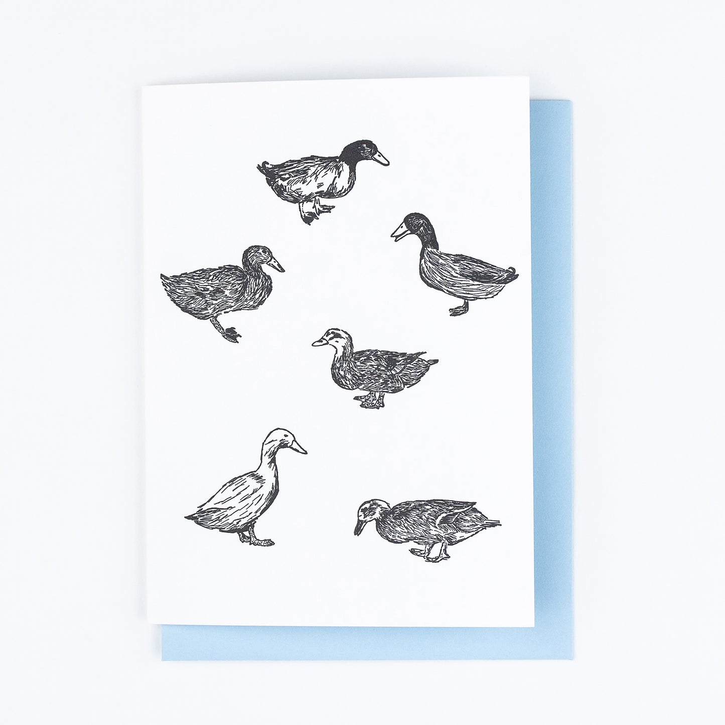 Letterpress greeting card featuring six hand-drawn backyard ducks, printed in a rich black ink. There is no text on the card. The white card is 100% cotton, blank inside, and is paired with a light blue envelope.