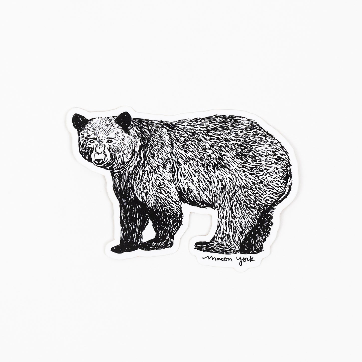 Vinyl sticker featuring a hand-drawn adult Appalachian Black Bear. The bear is looking directly at you with a happy expression. 3.5" x 3"
