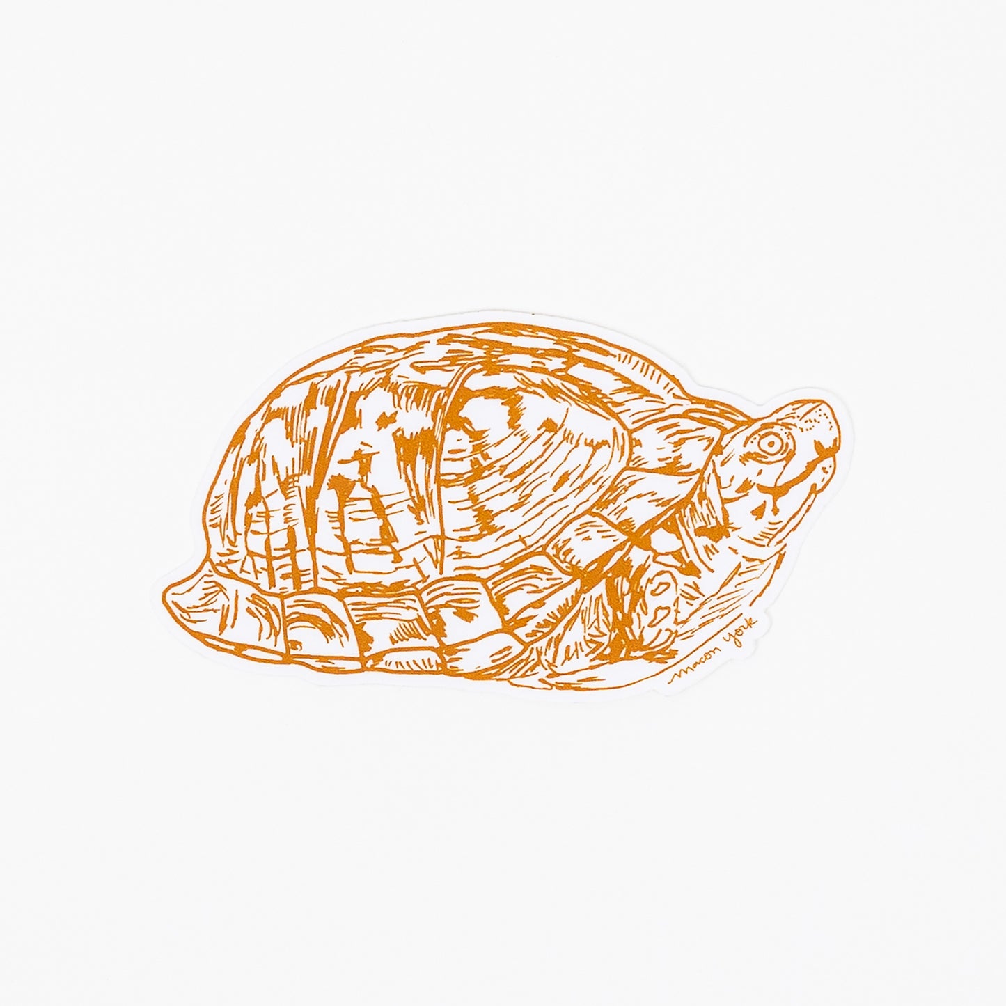 This Box Turtle sticker is a premium vinyl sticker that captures the beauty of the summertime Appalachian mountains. It features a hand-drawn image of the iconic box turtle, perfect for those who appreciate the natural wonders of the region. Printed in a deep burnt orange ink. 4" x 2" Vinyl Sticker