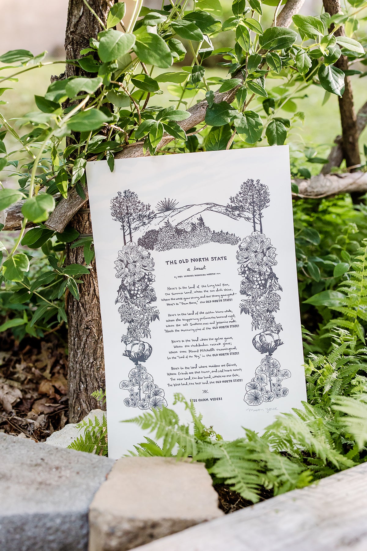 Large letterpress art print featuring "The Old North State," an ode to North Carolina and all her natural beauty, written in 1904 by Mrs. Leonora Monteiro. Macon York has hand-written the entire toast in her whimsical style. All the native plants in the toast are hand-drawn to create a border around the text.  The print is shown outside behind some rocks, in front of an arbor with honeysuckle growing up, and wild ferns to the right. 