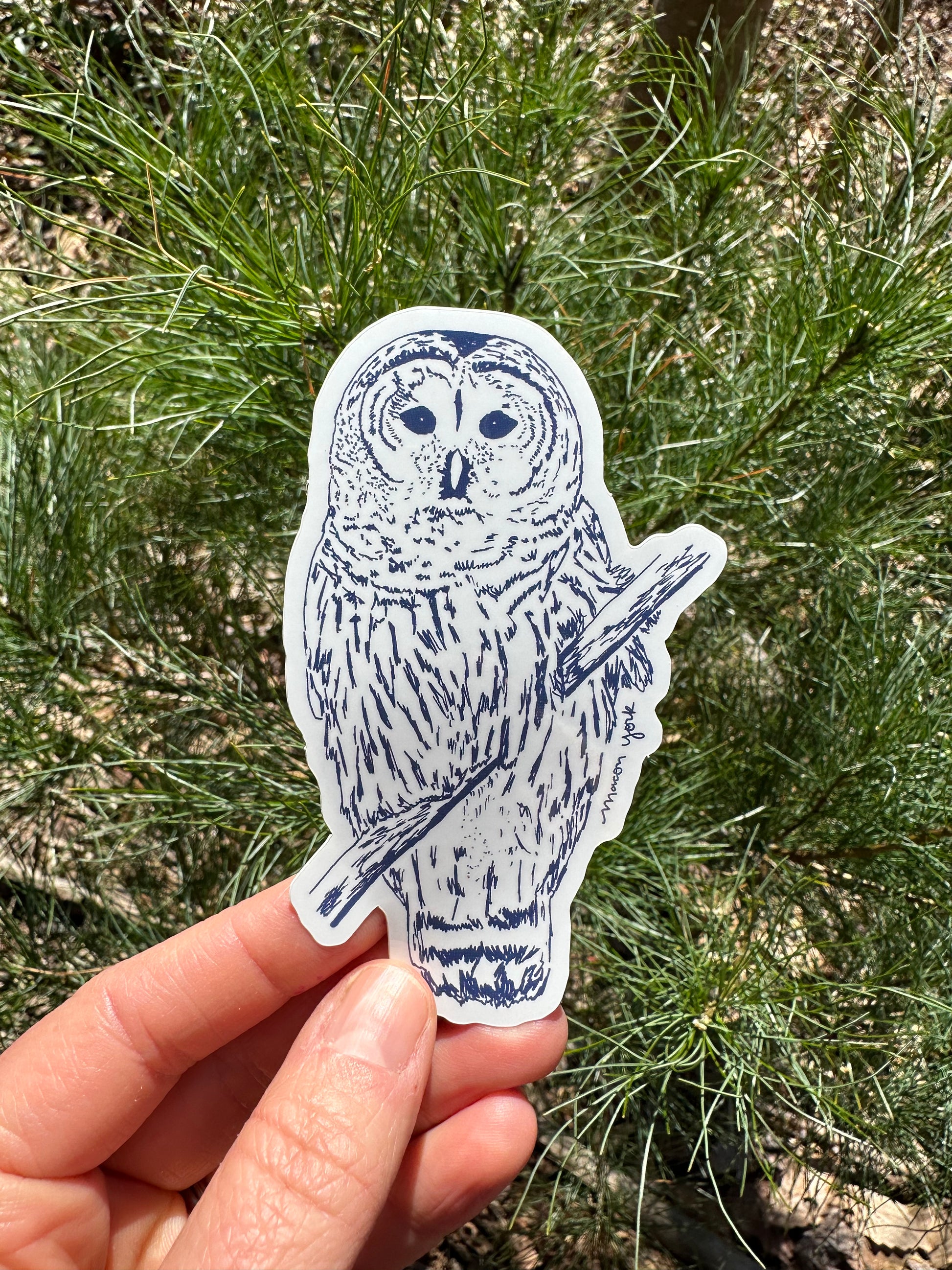 Hand-drawn barred owl in Macon York's whimsical illustration style.  2.25" x 3" Vinyl Sticker. Sticker is shown in front of a small pine tree. 