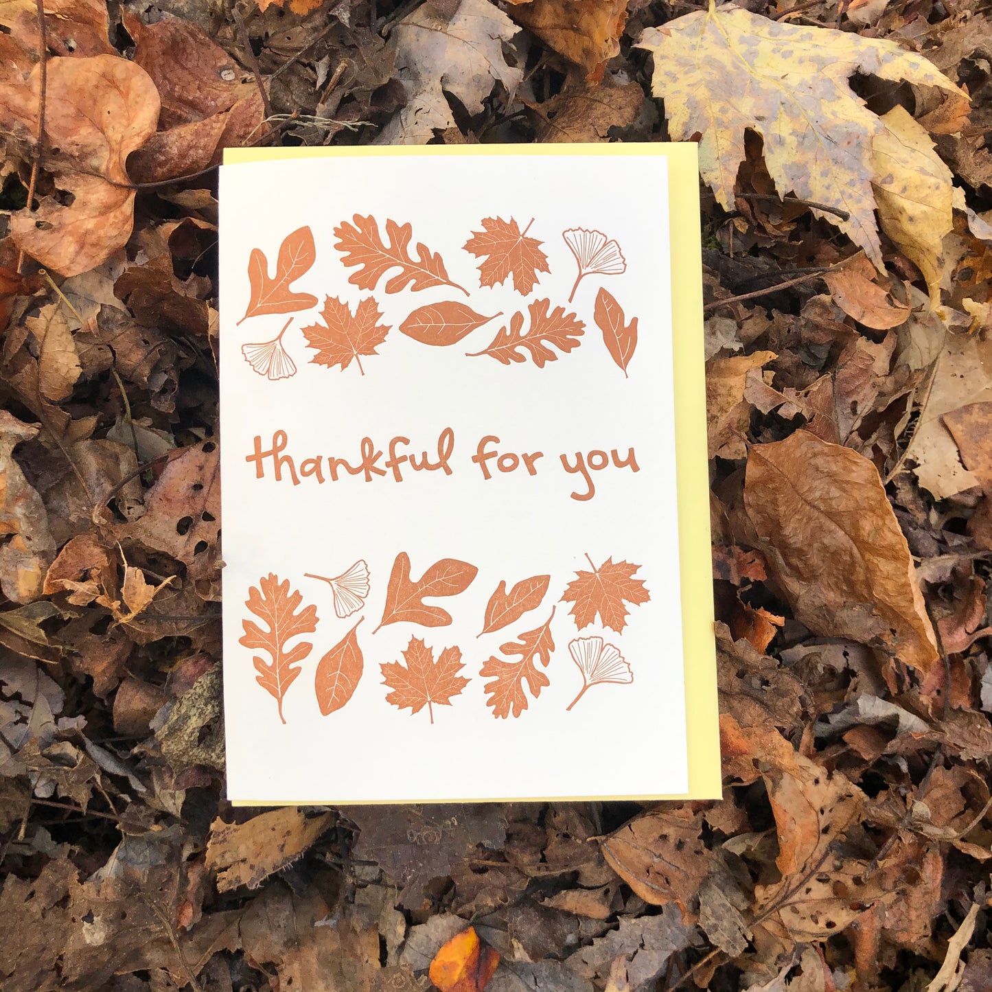 Thank You Letterpress Greeting Card: Autumn Leaves "Thankful for You"