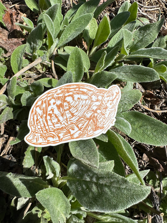 This Box Turtle sticker is a premium vinyl sticker that captures the beauty of the summertime Appalachian mountains. It features a hand-drawn image of the iconic box turtle, perfect for those who appreciate the natural wonders of the region. Printed in a deep burnt orange ink. 4" x 2" Vinyl Sticker. Shown outside in the sunshine on a bed of a Lamb's Ear plant.