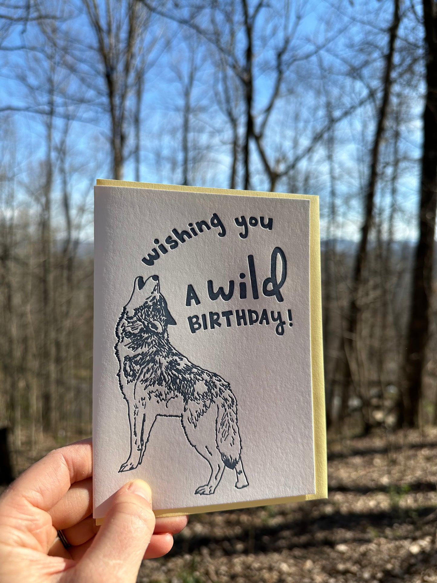Letterpress greeting card featuring a hand-drawn Howling Grey Wolf printed in an earthy navy ink. "Wishing you a Wild Birthday!" is written on the top of the card in a whimsical hand-drawn text, in the same navy ink. The card is white, blank inside, and is paired with a soft yellow envelope. Card is held up in front of a winter deciduous forest on a sunny day. 